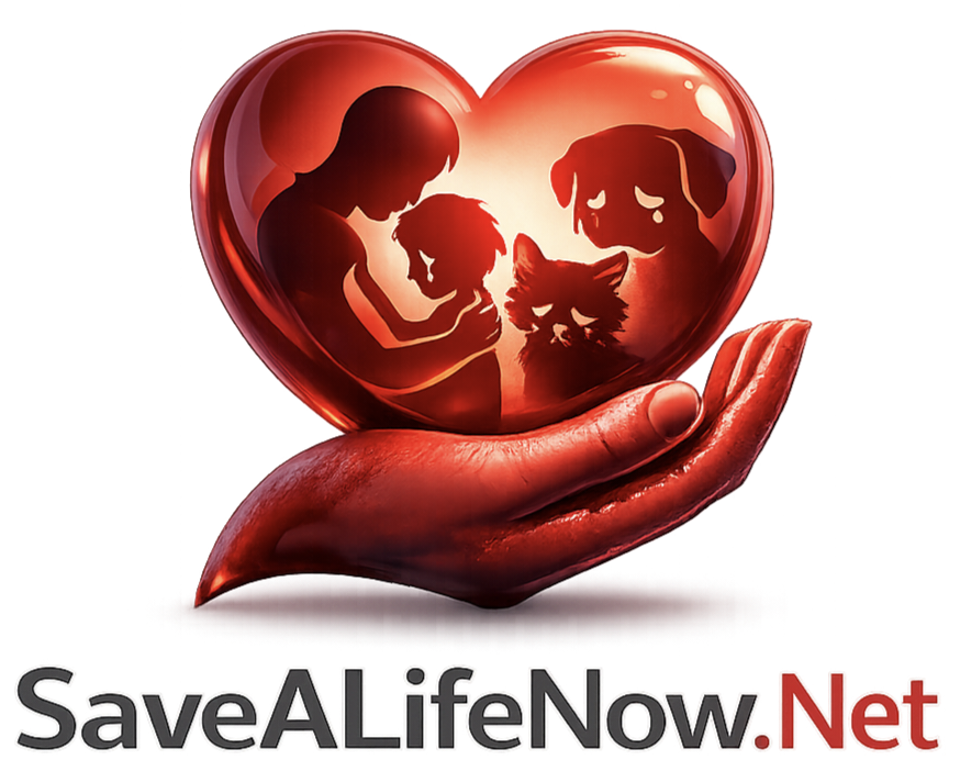 Save A Life Now Logo